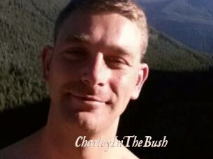 CharleyInTheBush
