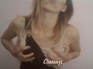 Chaton31