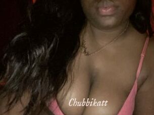 Chubbikatt