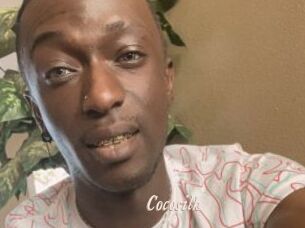 Cocosilk