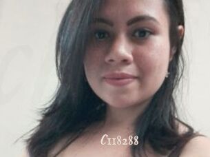 C118288