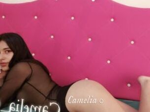 Camelia_0