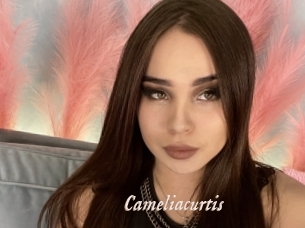 Cameliacurtis
