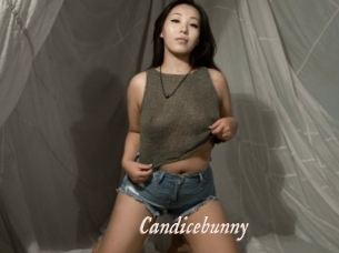 Candicebunny
