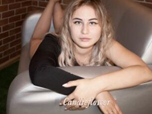 Candieflower