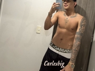 carlesbig Chobix 