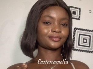Cartercamelia