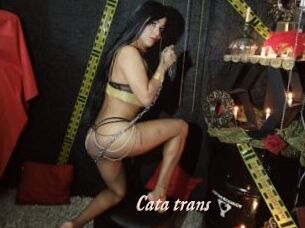 Cata_trans