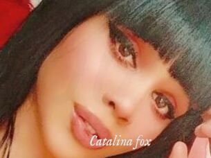Catalina_fox