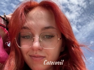 Catecovil