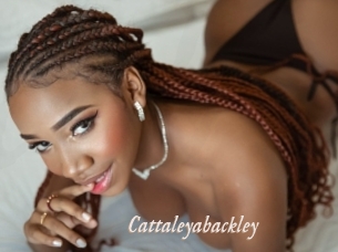 Cattaleyabackley