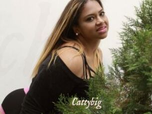 Cattybig
