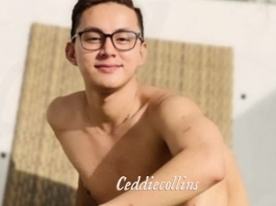 Ceddiecollins