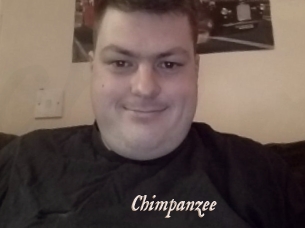 Chimpanzee