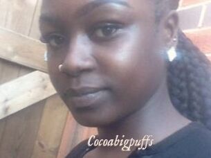 Cocoabigpuffs
