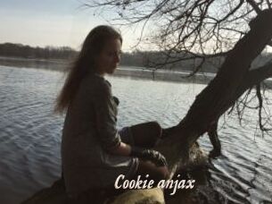 Cookie_anjax