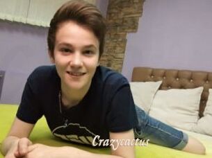 Crazycactus