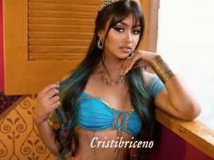 cristibriceno Chobix 