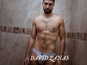 DAVID_ZANAS