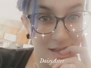 DaisyAster