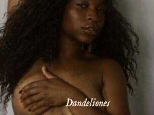 Dandeliones Chobix 