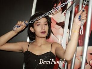 DaniPunish