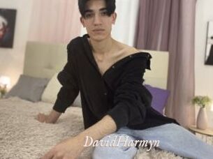 DavidHarmyn