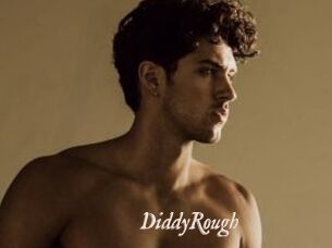 DiddyRough