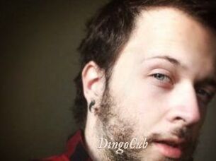 DingoCub