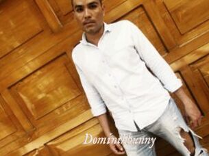 Dominikbunny