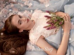 DreamSleep