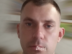 D1593
