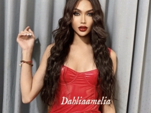 Dahliaamelia