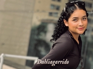 Dahliagarrido