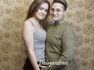 Daisyandrose