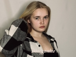 Daisygambee