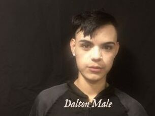 Dalton_Male