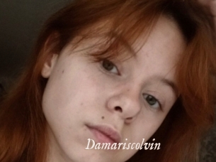 Damariscolvin