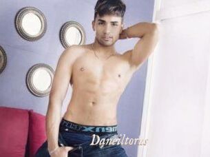 Daneil_torus