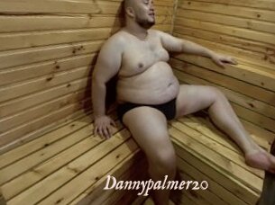 Dannypalmer20