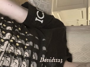 David1123
