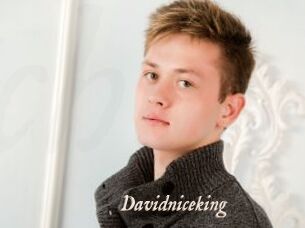 Davidniceking