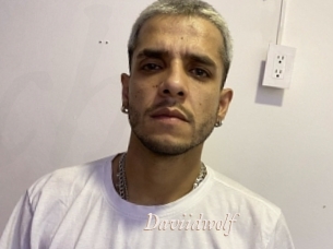Daviidwolf