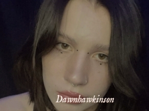 Dawnhawkinson