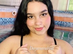 Dayanarabbit