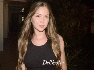 Dellkesler