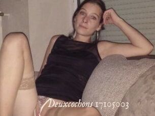Deuxcochons