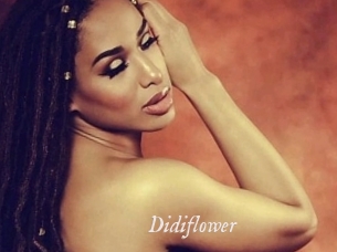 Didiflower