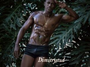 Dimitrystud