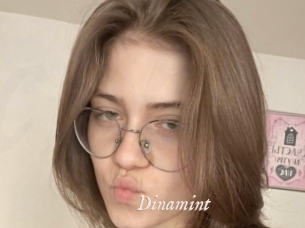 Dinamint